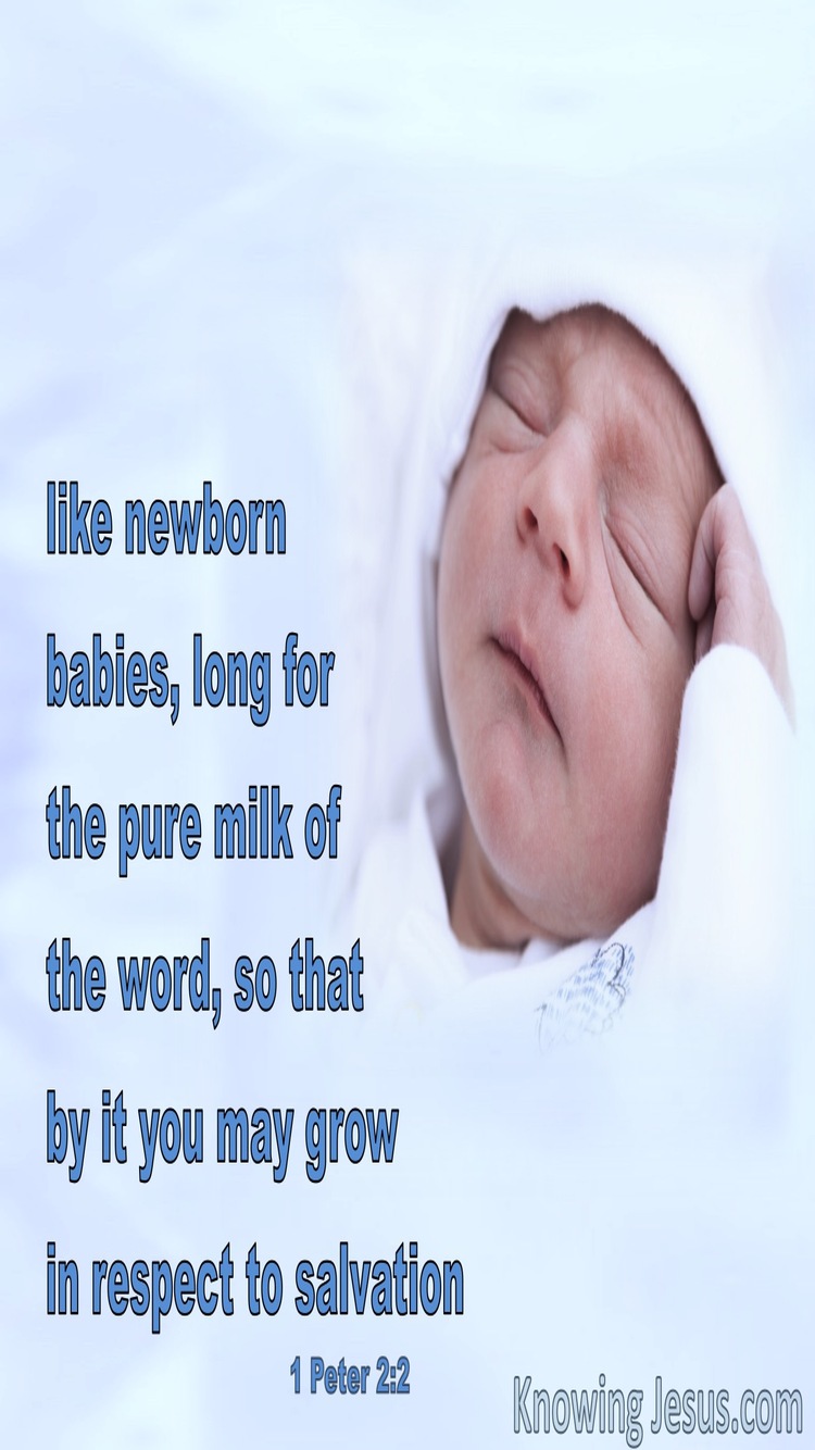 1 Peter 2:2 Desire The Pure Milk Of The Word (blue)